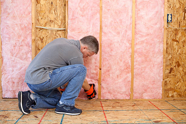 Best Wall Insulation Installation  in Mount Carmel, OH